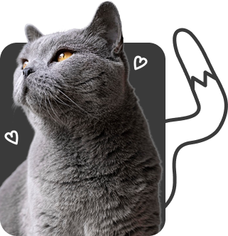 pet_1